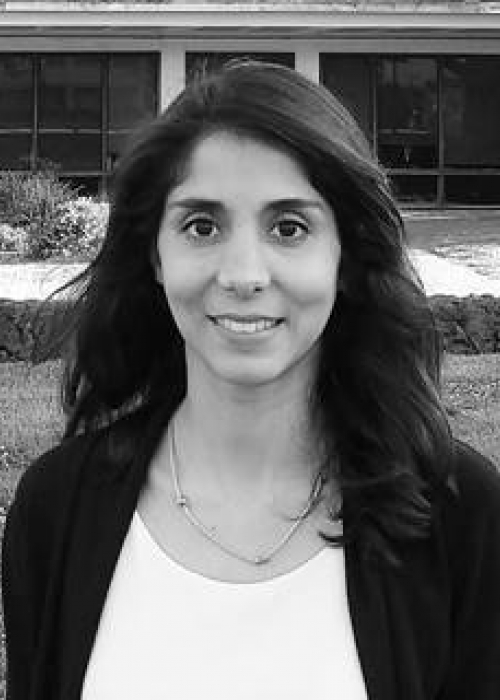 Dr. Silvia Viana da Silva
