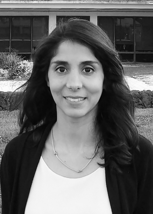 Dr. Silvia Viana da Silva
