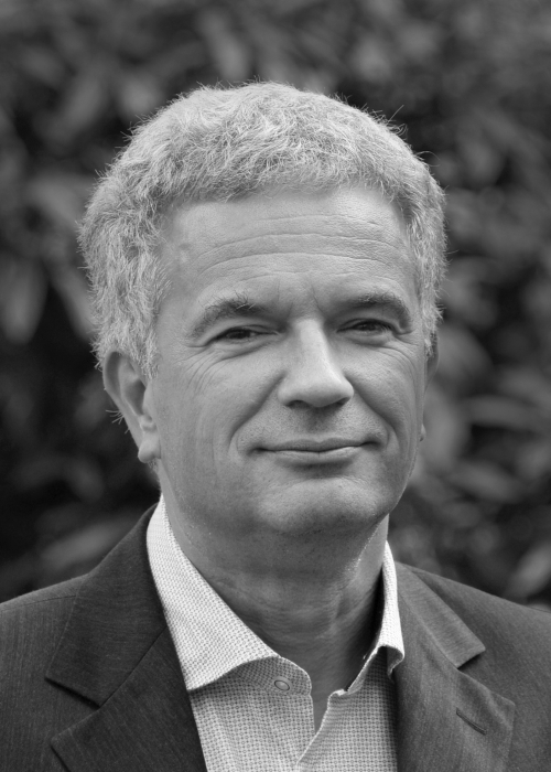 NCRC-Board-Mitglied, NCRC-Core-Investigator, ärztliche Leitung NCRC Prof. Dr. Andreas Meisel